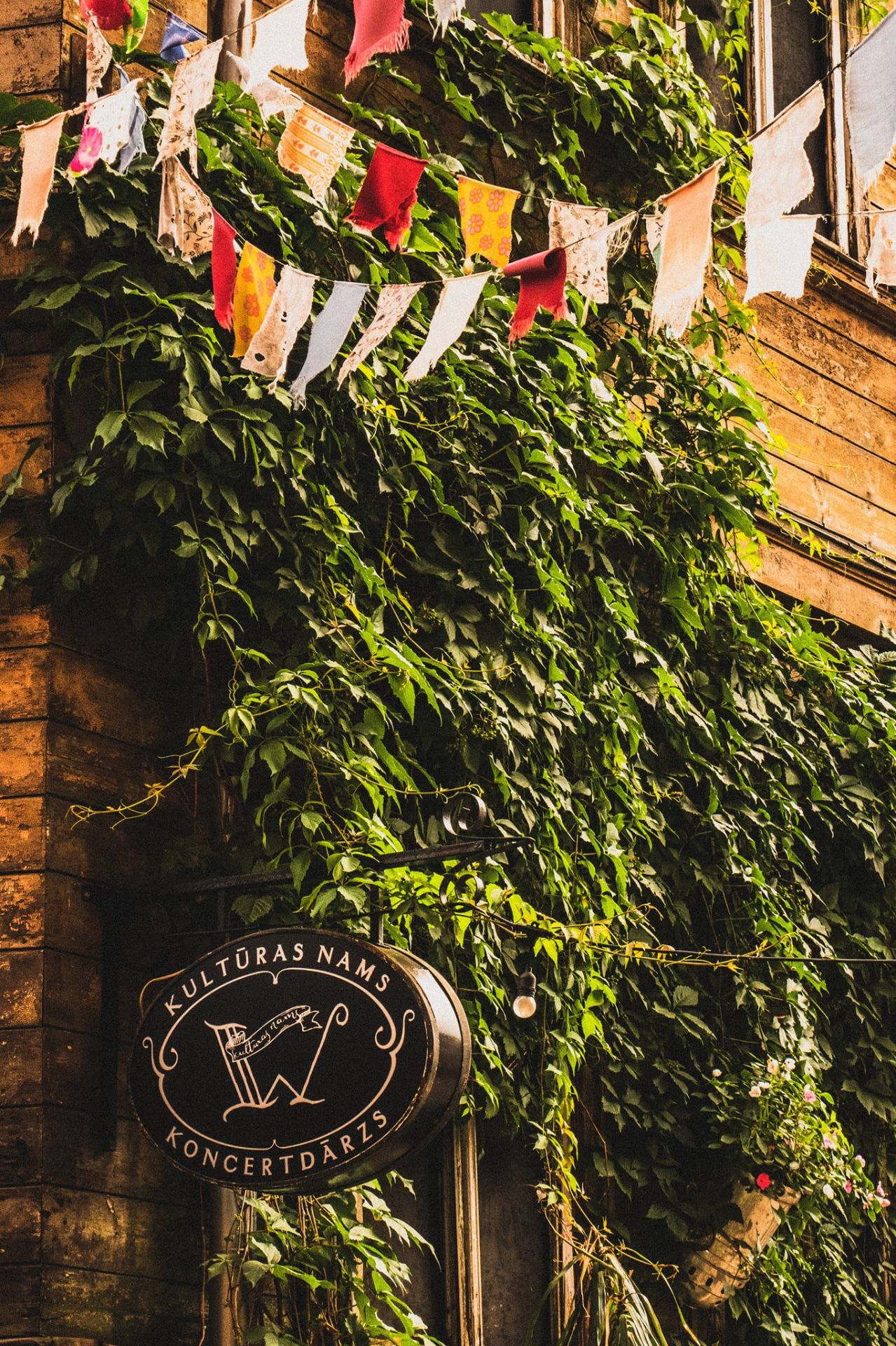 Katrīna Gupalo // koncerts uz dārza skatuves