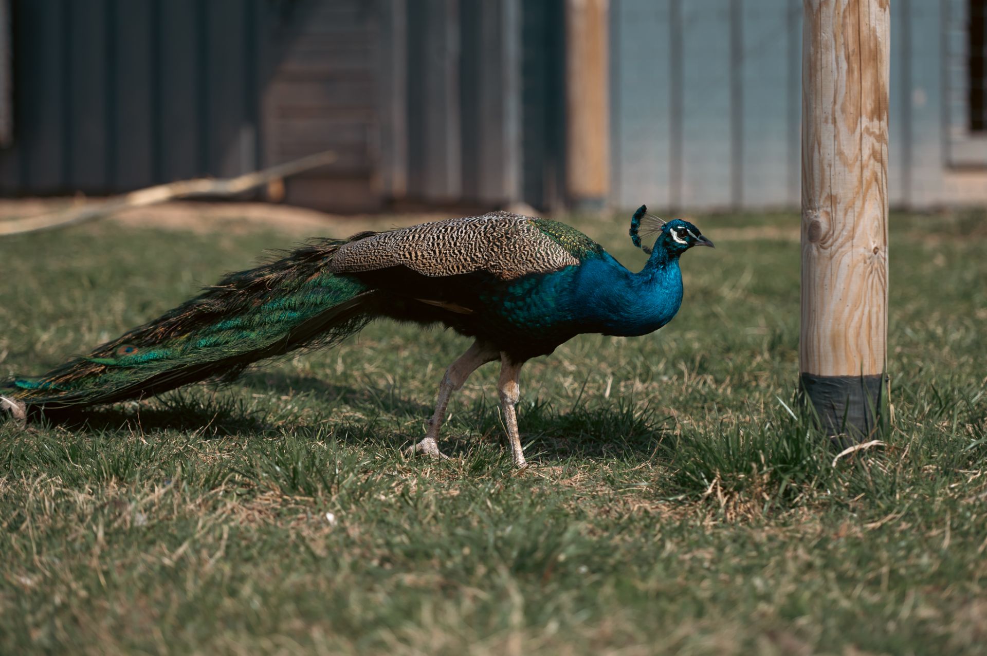 Sigulda Zoo apmeklējums
