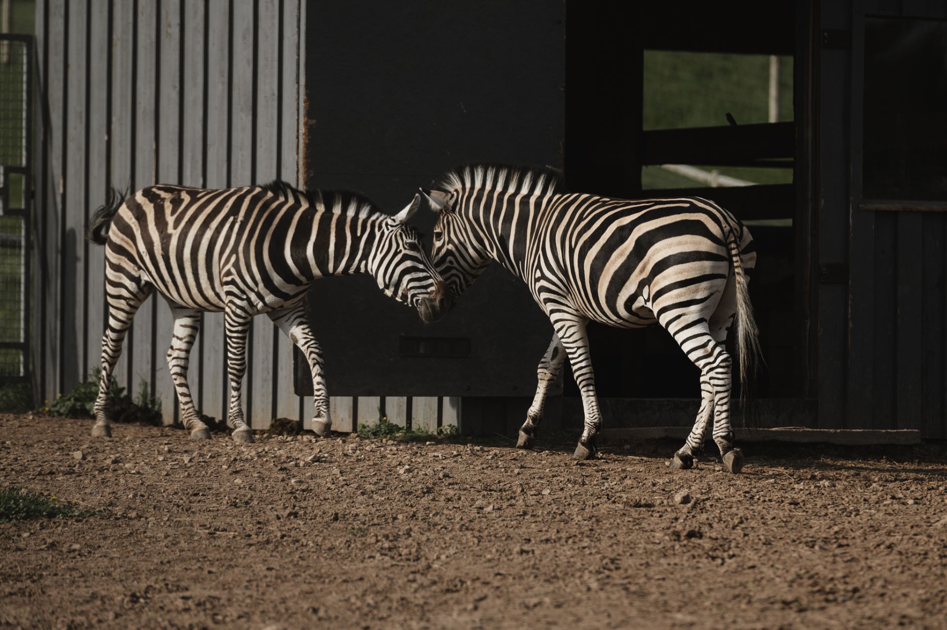 Sigulda Zoo apmeklējums