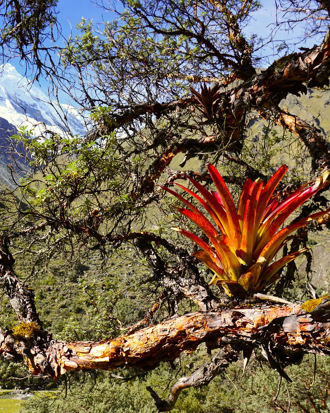 Ceļojumu stāstu vakars ar alpīnistiem Kristīni un Kristapu Liepiņiem